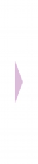 Maas04_11.gif